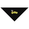 SOL'S Bandana Thumbnail